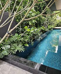 Stevens Road (D10), Semi-Detached #503761461